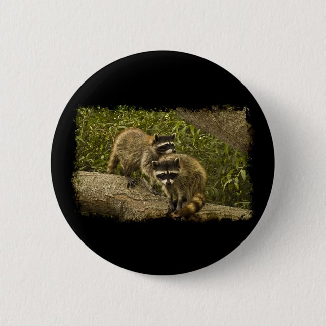 Raccoons Button (Vorderseite)