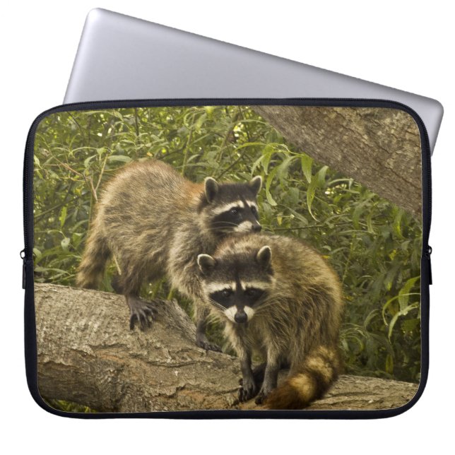 Raccoons Laptopschutzhülle (Vorderseite)