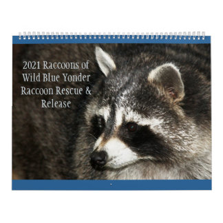 Raccoons of Wild Blue Yonder Kalender