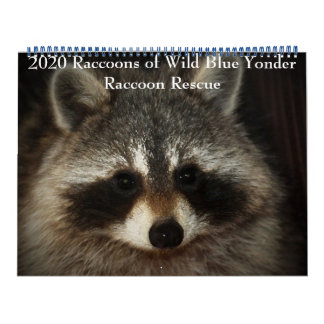 Raccoons of Wild Blue Yonder Raccoon Rescue Kalender