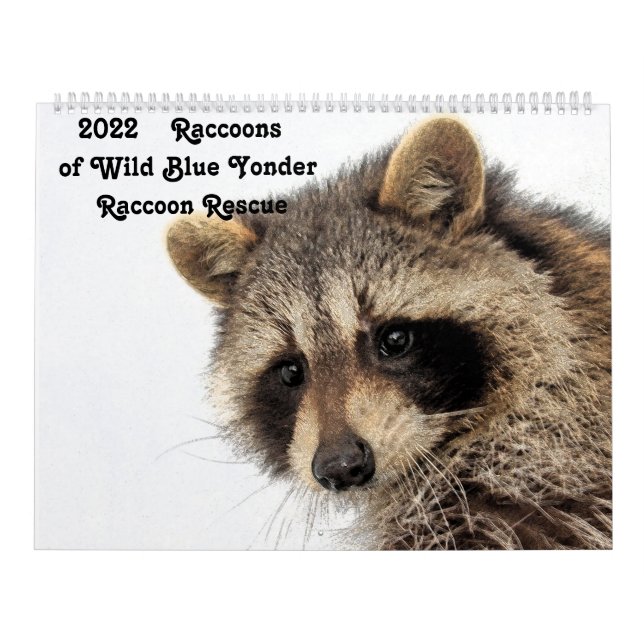 Raccoons of Wild Blue Yonder Raccoon Rescue Kalender (Titelbild)