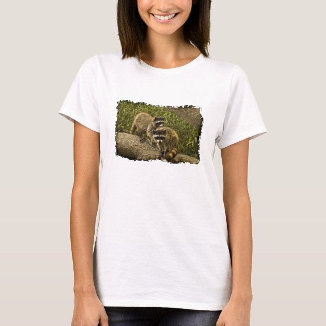 Raccoons T-Shirt (Vorderseite)