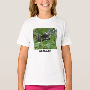 RaccoonStalker - der T - Shirt der Frauen