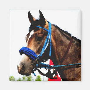 Race Horse Magnet