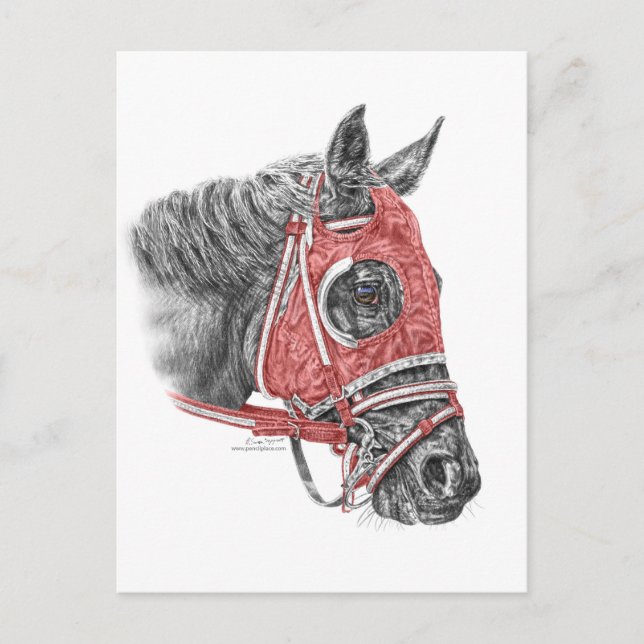 Race Horse Portrait Silks Postkarte (Vorderseite)