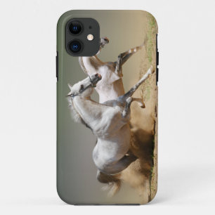 Race the Wind Pferde Case-Mate iPhone Hülle