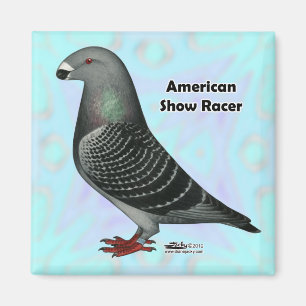 Racer ASR anzeigen Magnet