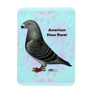 Racer ASR anzeigen Magnet