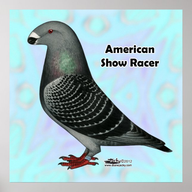 Racer ASR anzeigen Poster (Vorne)