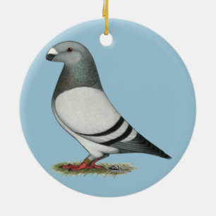 Racer Blue Bar Pigeon anzeigen Keramik Ornament