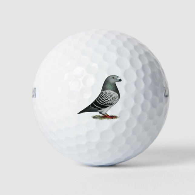 Racer Blue Schachbrett Pigeon anzeigen Golfball (Vorderseite)