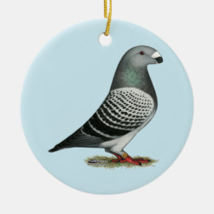 Racer Blue Schachbrett Pigeon anzeigen Keramikornament
