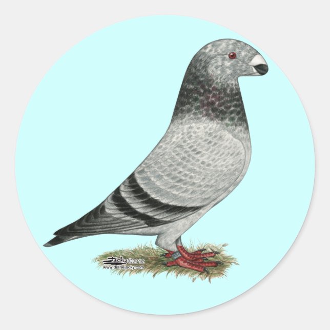 Racer Grizzle anzeigen Runder Aufkleber (Vorderseite)