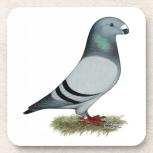 Racer-Konzept anzeigen Untersetzer