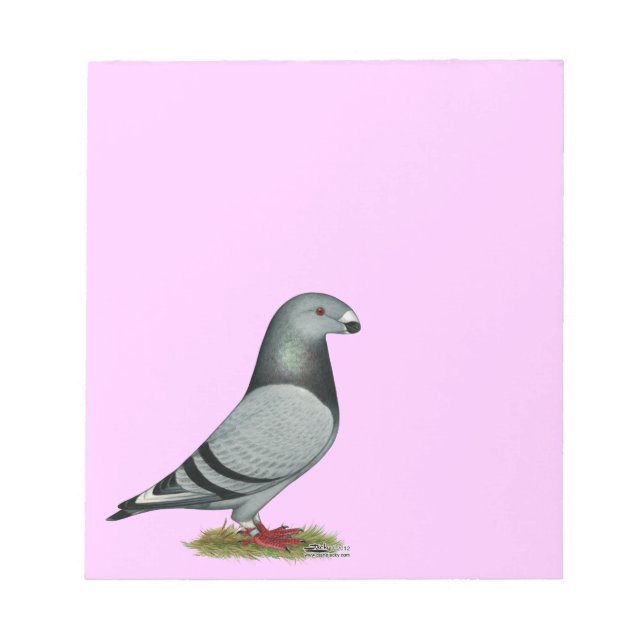 Racer Mismark anzeigen Notizblock (Vorderseite)