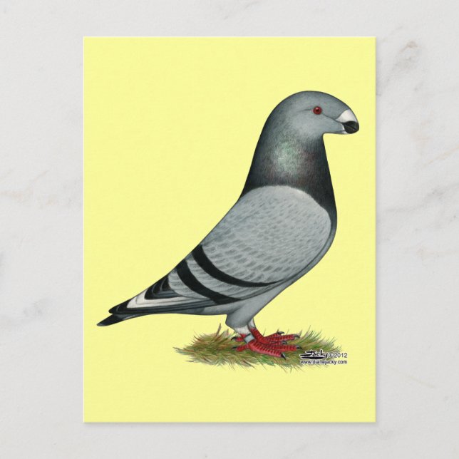 Racer Mismark anzeigen Postkarte (Vorderseite)