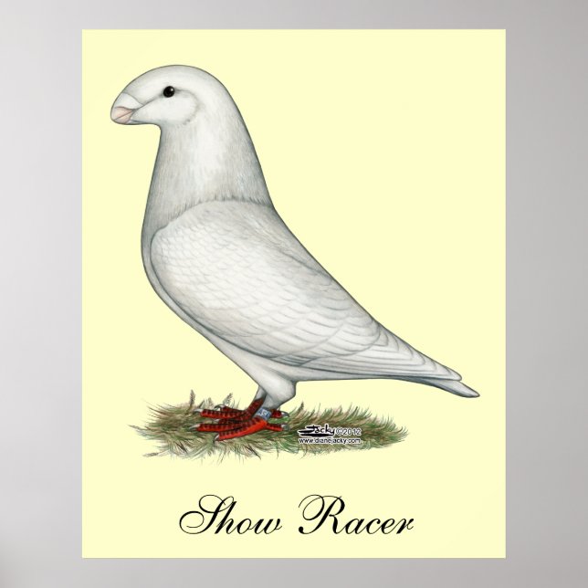 Racer White anzeigen Poster (Vorne)