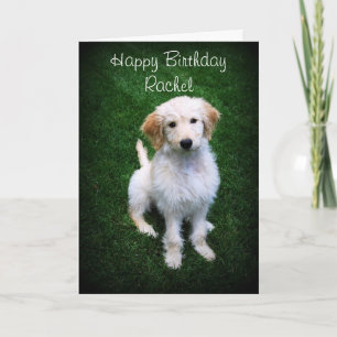 Rachel Happy Birthday Golden Doodle Puppy Karte