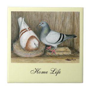 Racing Homers Zuhause Life Fliese