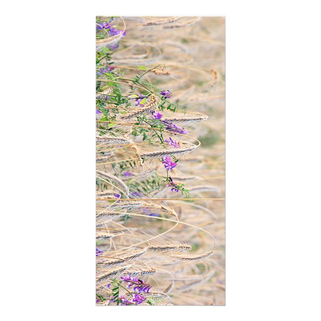 Rack-Karte zum Wachsen Werbekarte (Vorne)