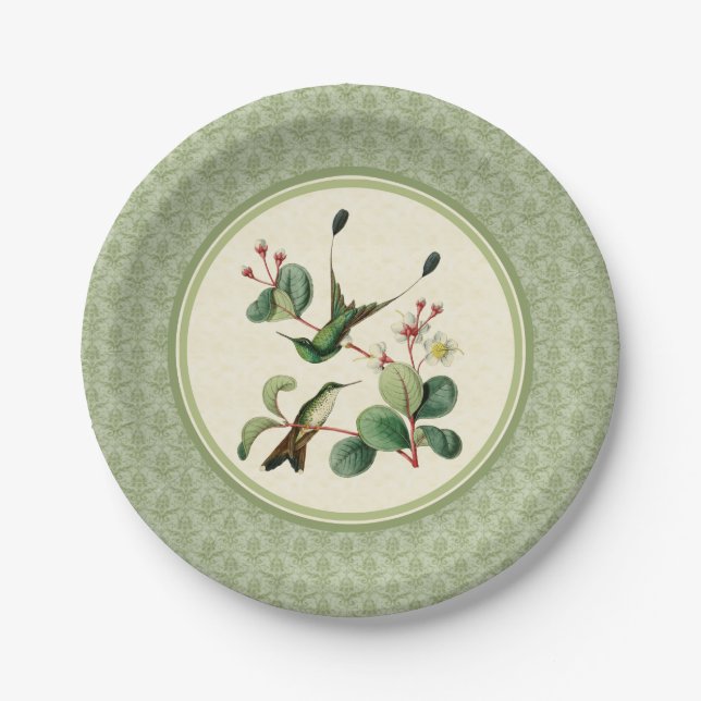 Racket Schwanz Hummingbird Damask Paper Teller (Vorderseite)