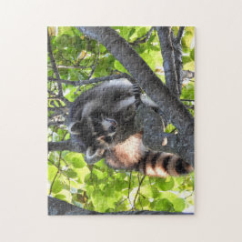 Racon in einem Baum Puzzle