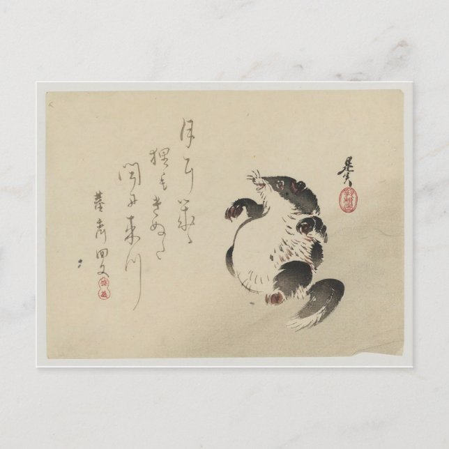 Racoon-dog (Tanuki) von Shibata Zeshin Postkarte (Vorderseite)