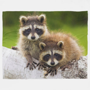 Racoon Fleecedecke