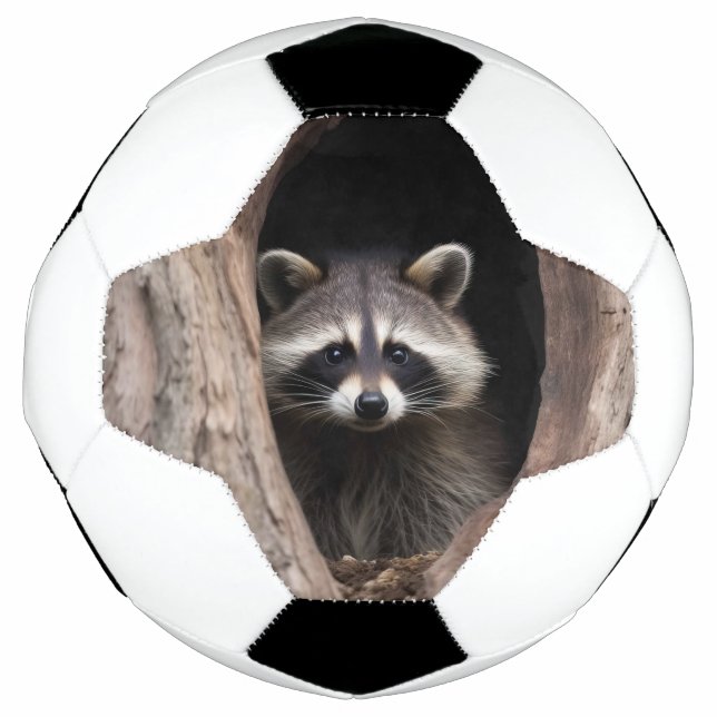 Racoon in der Baumhöhle Fußball (Vorderseite)