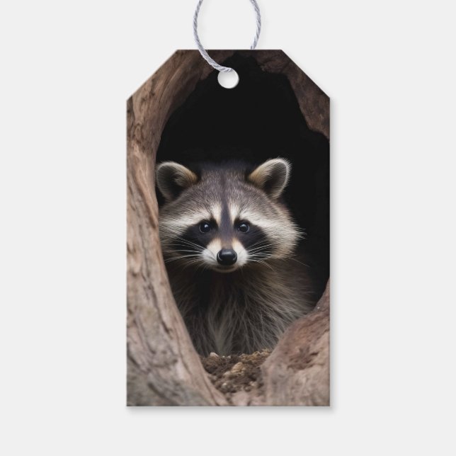 Racoon in der Baumhöhle Geschenkanhänger (Vorderseite)