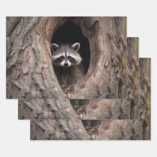 Racoon in der Baumhöhle Geschenkpapier Set
