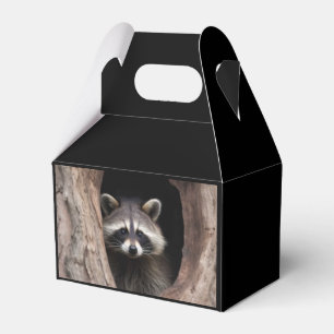 Racoon in der Baumhöhle Geschenkschachtel