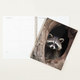 Racoon in der Baumhöhle Planer