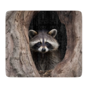 Racoon in Tree Cave Glass Schneidebrett