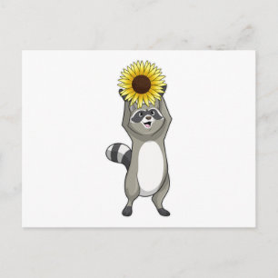 Racoon mit Sonnenblume Postkarte
