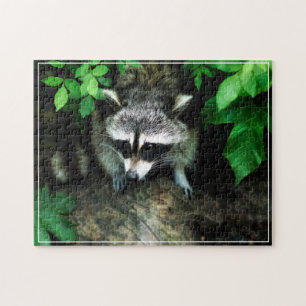 Racoon-Spiel-Puzzlespiel Puzzle