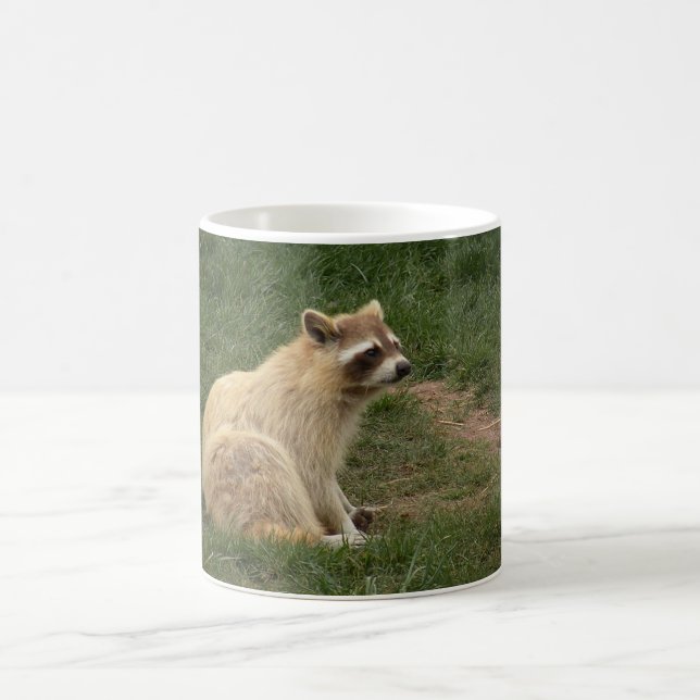 Racoon-Tasse Kaffeetasse (Mittel)