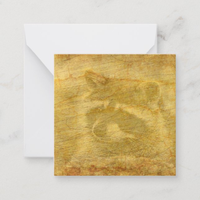 Racoon Vintag Paper Mitteilungskarte (Vorderseite)