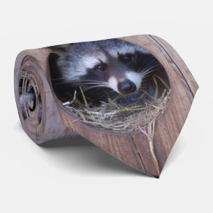 RACOON WASCHBÄR / Foto: Jean-Louis Glineur Krawatte