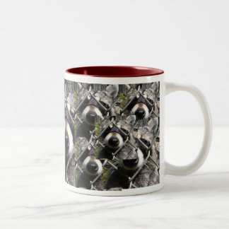 Racoonproblem Zweifarbige Tasse