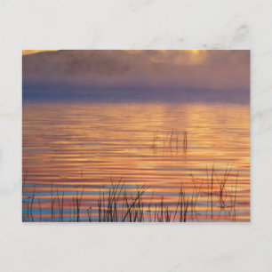 Racquette Lake   Adirondack Mountains, New York Postkarte