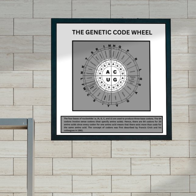 Rad des genetischen Codes Poster (Von Creator hochgeladen)