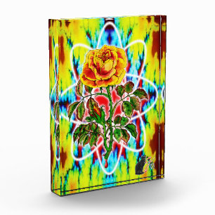 Rad Rad Rosenfarbe Illustration Acrylblock Fotoblock