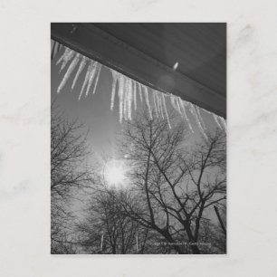 Räder auf Dach und Sonne Postkarte