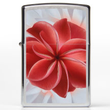 Radiale rote Azalea Botanische Art Thermaltumor