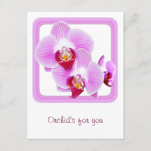 Radiales Orchid-Foto mit quadratischem Rahmen Postkarte