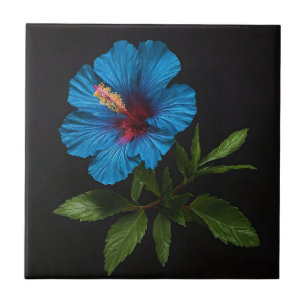 "Radiant Blue: Hibiskus Blume auf schwarz Fliese