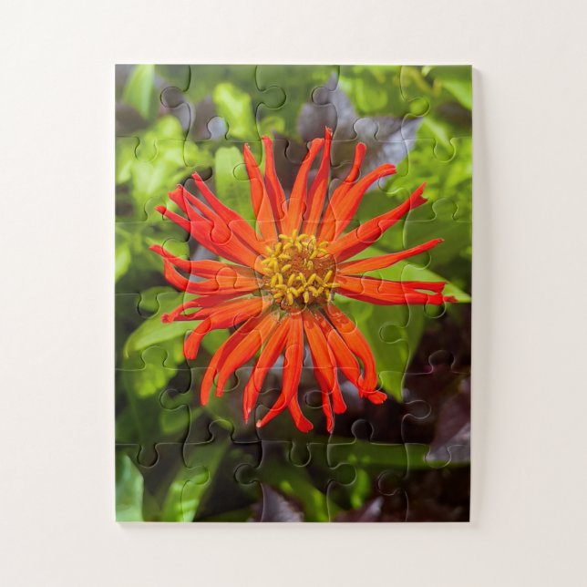 Radiant Orange Zinnia | Floral Tribute to Alzheime Puzzle (Vertikal)