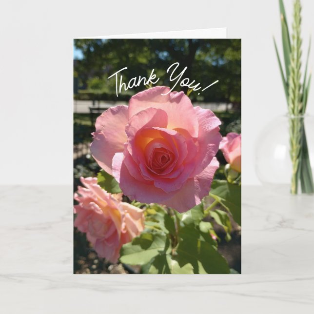 Radiant Pink Tee Rose Danke Karte (Vorderseite)