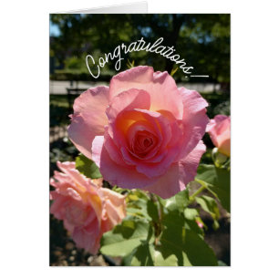 Radiant Pink Tee Rose Herzlichen Glückwunsch Karte